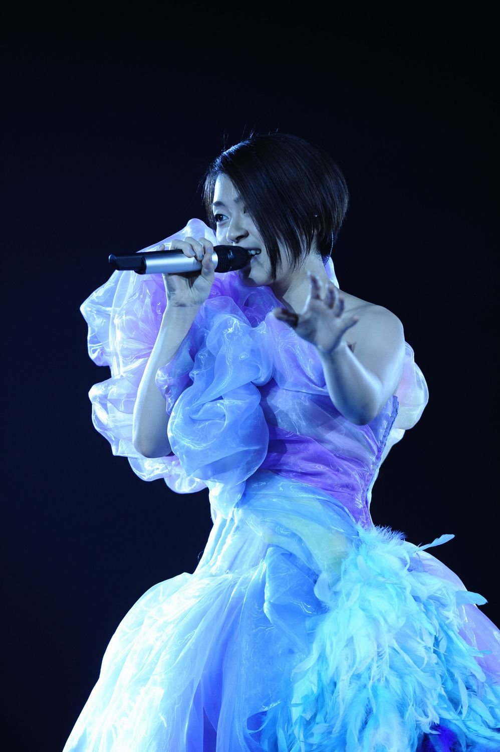 宇多田ヒカル 初Blu-ray化も含む HIKARU UTADA LIVE CHRONICLES